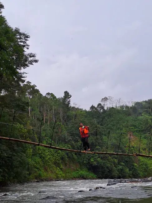 Bukit Lawang