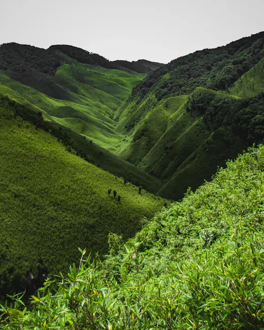 Baliem Valley