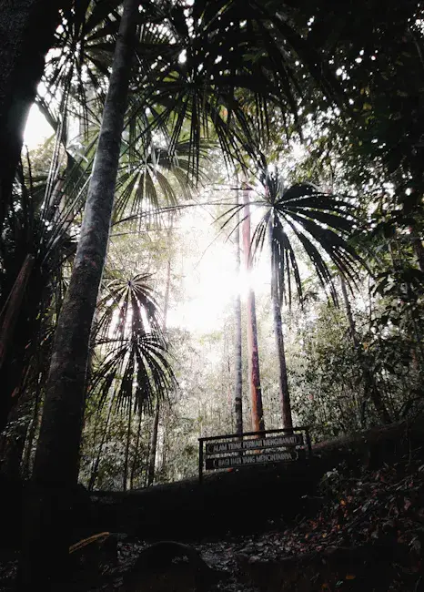 Kayan Mentarang National Park